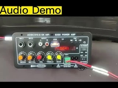 4 Ohm 40W Hoparlör 110V 220V 12V 24V Subwoofer Ses Modülü için Amplifier Board D10-II