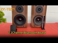 CA-TB21 2.1 Kanal BT Subwoofer Amplifier Ses Kartı 2*50W+100W 12-24V AMP