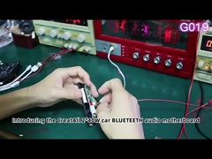 2*40W Araç Ses Ana Kartı Kayıpsız Ses Dekoder Kartı MP3 FLAC/APE Ses Biçimi