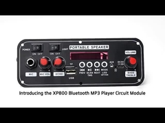 2x10W 7.4V Mikrofon Trolley Hoparlör Kablosuz Kablolu Seçenekler Arayüz FM Radyo Ses Kartı BT Dekodlama