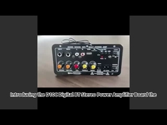 Güç Amplifier Board Subwoofer Çift Mikrofon Karaoke Ses Kartı D10C Dijital BT Stereo 24V/220V