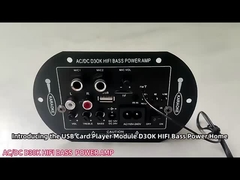 D3OK HIFI Bas Gücü Ev Amplifier Kartı