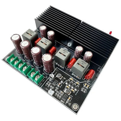 SAMP-200 HIFI çift çekirdekli TPA3255 600W Profesyonel ses için D Sınıfı Dijital Güç Güçlendirici