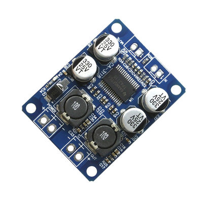CA-3118 DC 12-24V PBTL Mono 60W D Sınıfı Güç Amp Modülü Amplifier Board
