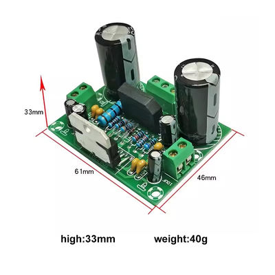 100W Mono Amplifier Board, 2 Kanal için çift AC12-32V güç kaynağı