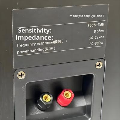 Takım: Cyclone No. 8 Boyalı Üç Yollu Ev Amplifikatör Hoparlör Seti, SR8800 Amplifikatör ve 10 inç Subwoofer ile