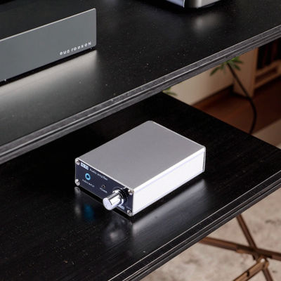 Tpa3116D2 Çift Kanal 60W*2 Ev Amplifikatör Kiti Yüksek Güçlü Dijital Ses Kartı Çekirdek Teknolojisi Sesli Kontrol Modülleri